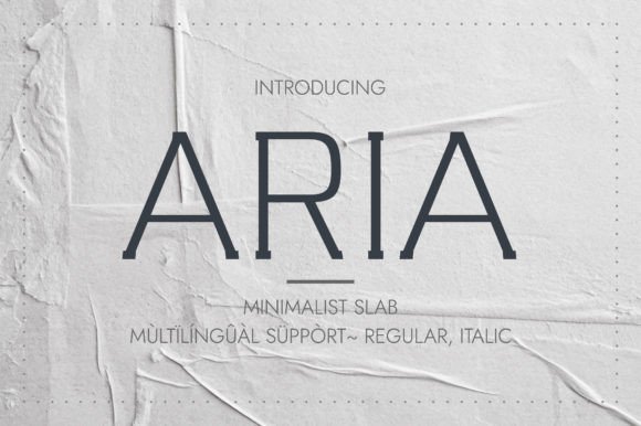 Aria Typeface: A Minimalist Slab Serif for Modern Designers